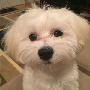 Meet your Posher, Keira